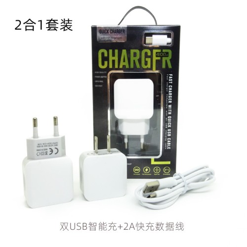 2 -in -1 charging travel set dual USB charging header 2A fast charging set Europe
