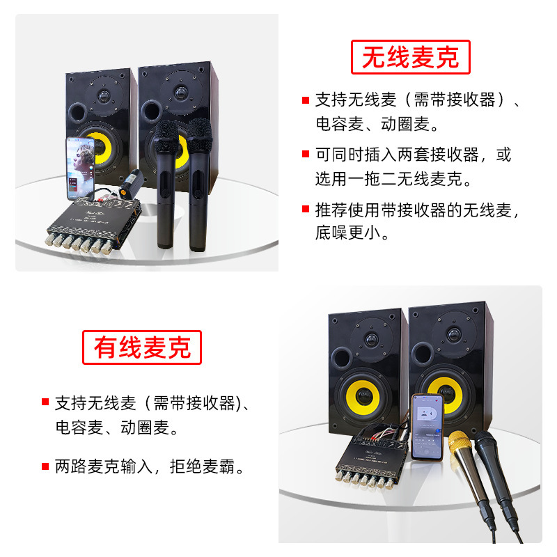 ZK-AM100 High Power KTV Microphone Audio All-in-One 2.1 Channel Bluetooth Power Amplifier 50+50+100W